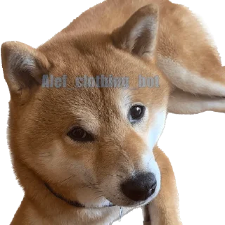 😎