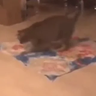 😕