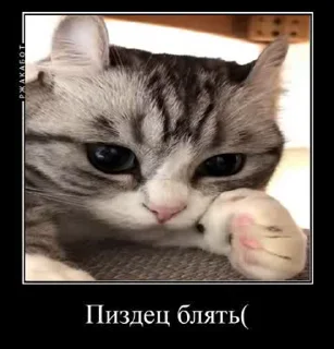 😢