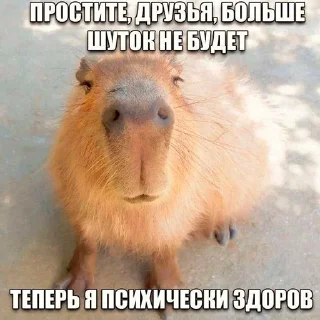 😀