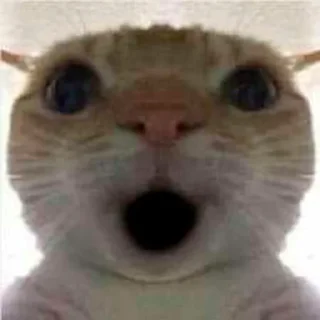 😲
