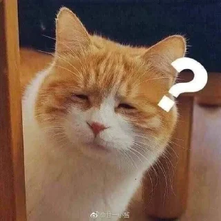🤨