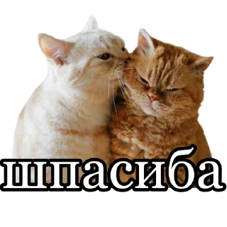 🥰