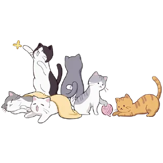 🐱