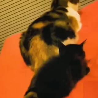 😡