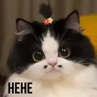 😄