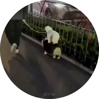 🙃