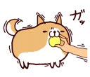 🐶