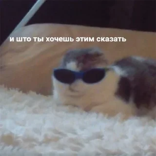 😎