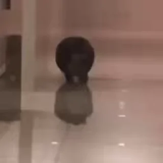 🤞