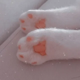 🐈