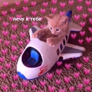 ✈️