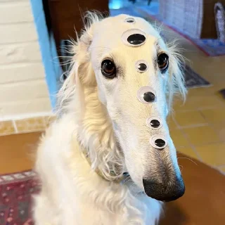 👁