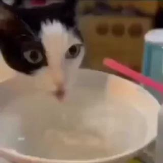 👅
