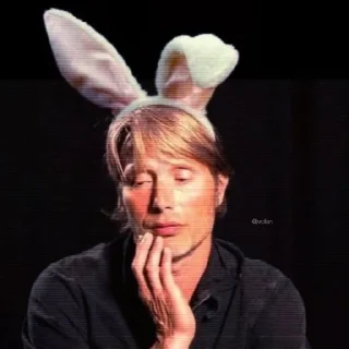 🐰