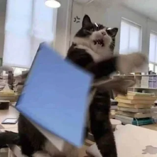 💢