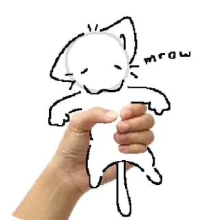 ✋