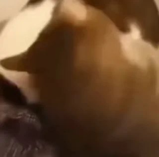 😱