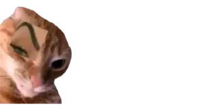🐈