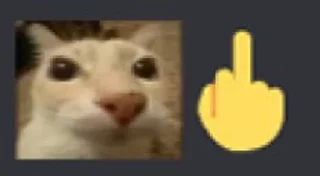 🖕