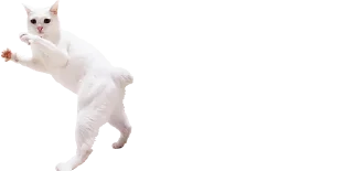 🕺