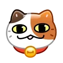 😻