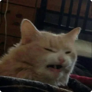 🤢