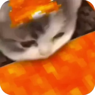 🤩