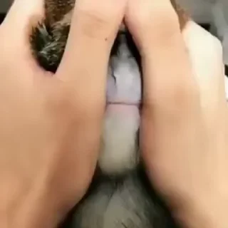 😳
