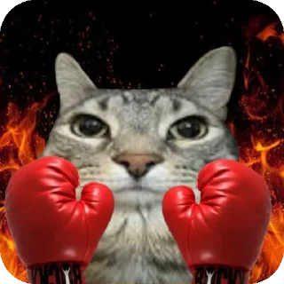 🐱