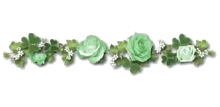 🍀