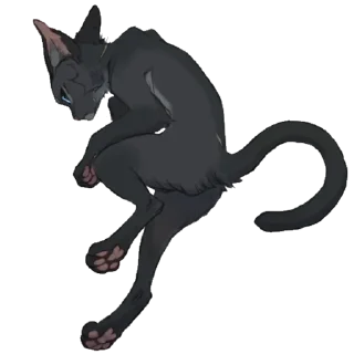 🐱