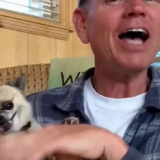 🤩