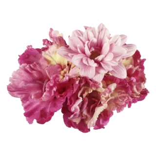 Flowers @stickersb2b