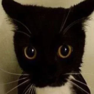 😶