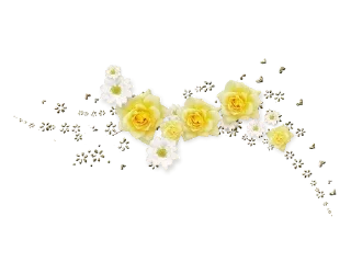 🌼