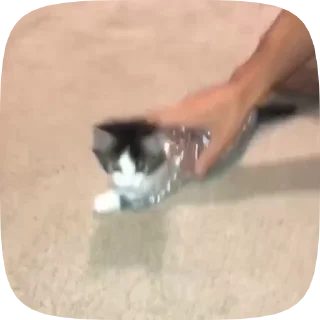 👀