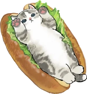 🥪