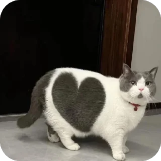 ❤