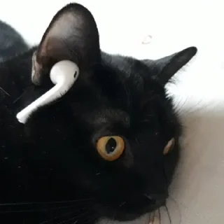 😜