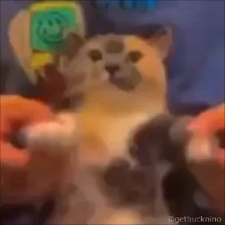 🥳