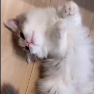 🤩