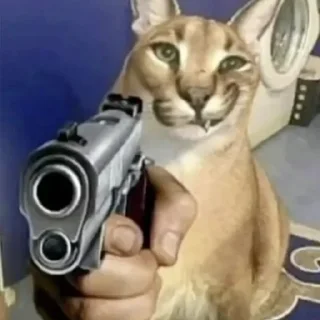 🔫