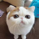 😊