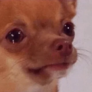 😗