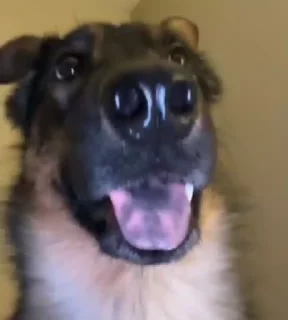 😶