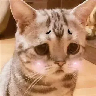 😥