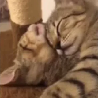 🤗