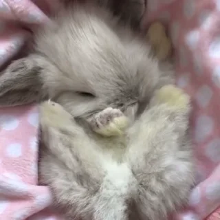 🥛