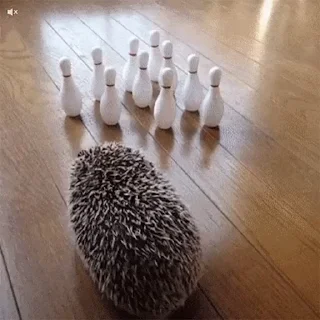 🎳